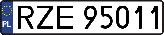 RZE95011