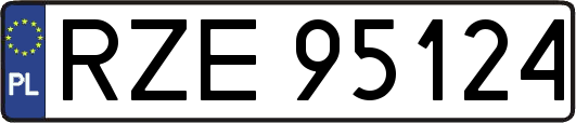 RZE95124