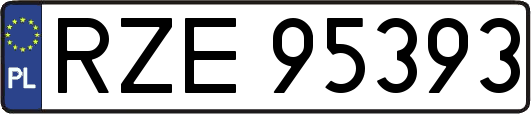 RZE95393