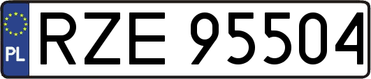RZE95504