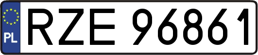 RZE96861