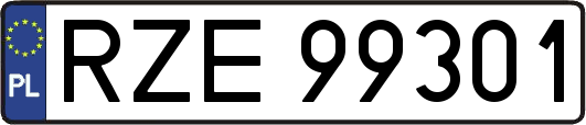 RZE99301