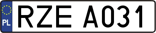 RZEA031