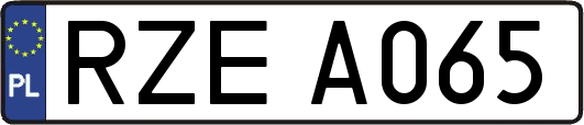 RZEA065