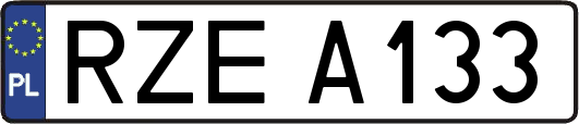 RZEA133