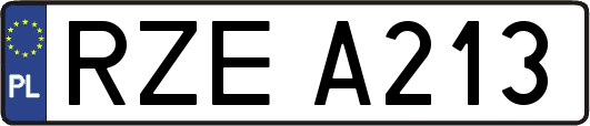 RZEA213