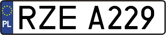 RZEA229