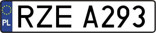 RZEA293