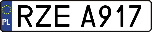 RZEA917