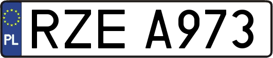RZEA973