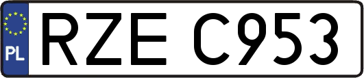 RZEC953