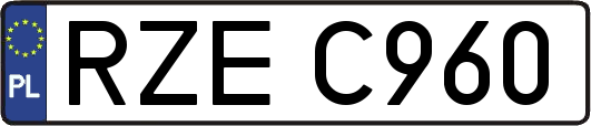 RZEC960