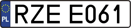 RZEE061