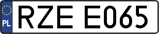 RZEE065