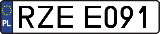 RZEE091