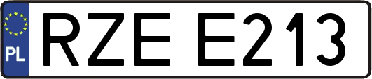 RZEE213