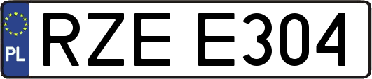 RZEE304