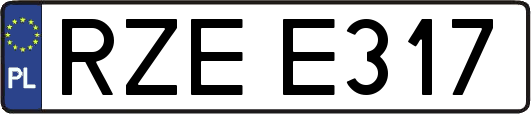 RZEE317