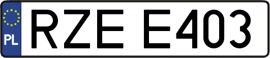 RZEE403