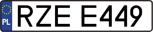 RZEE449