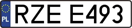 RZEE493