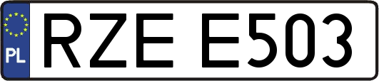 RZEE503