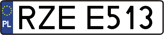 RZEE513