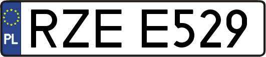 RZEE529