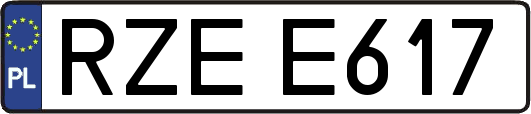 RZEE617