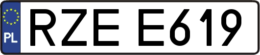 RZEE619