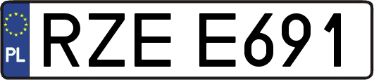 RZEE691