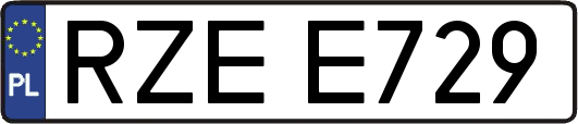 RZEE729