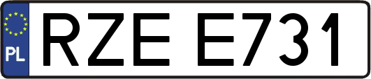 RZEE731
