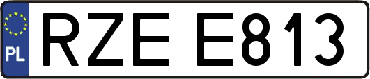 RZEE813