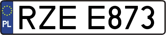 RZEE873