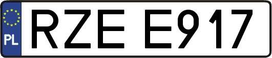 RZEE917