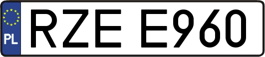 RZEE960