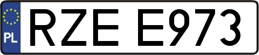 RZEE973