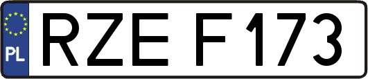 RZEF173