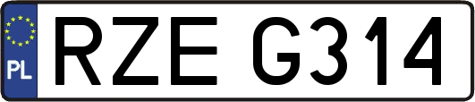 RZEG314
