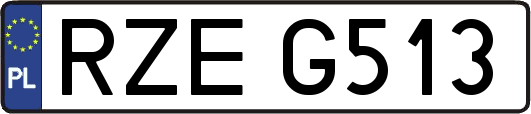 RZEG513