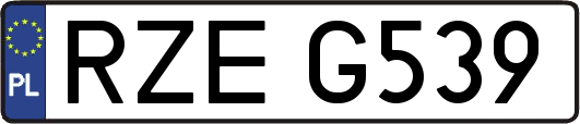 RZEG539