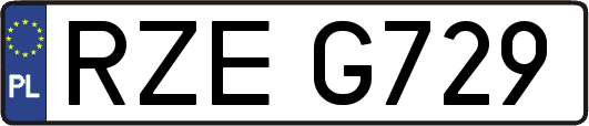 RZEG729