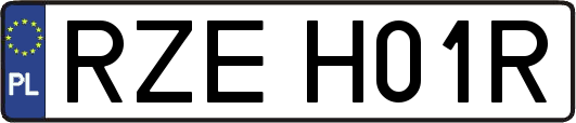 RZEH01R