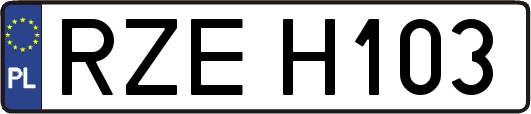 RZEH103