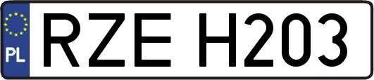 RZEH203