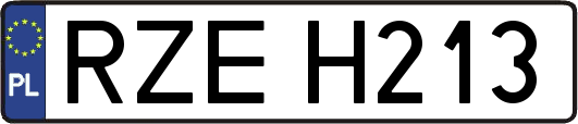 RZEH213