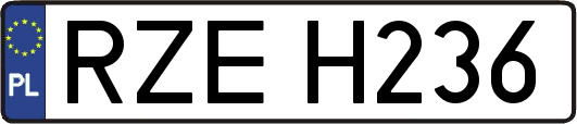RZEH236