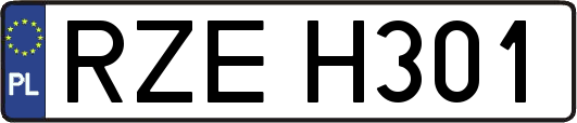 RZEH301