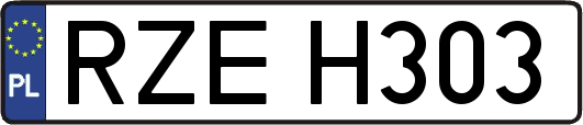RZEH303